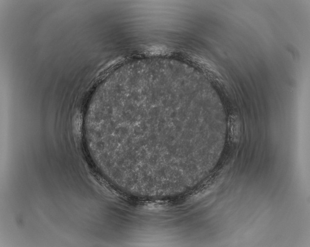 X0000110870550200907301415