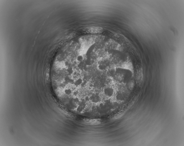 X0000110870553200907301415