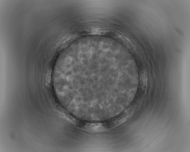 X0000110870554200907301415