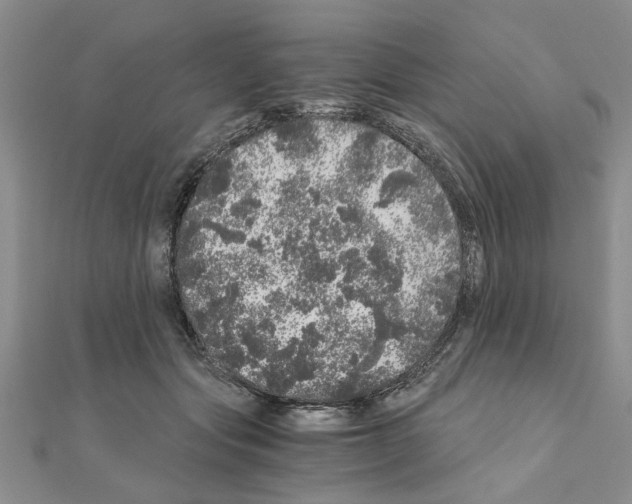 X0000110870557200907301415