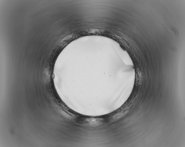 X0000110870558200907301415