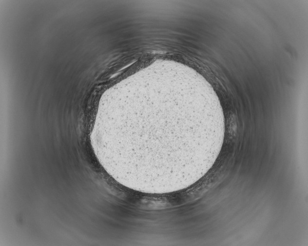 X0000110870559200907301415