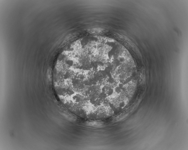 X0000110870561200907301415