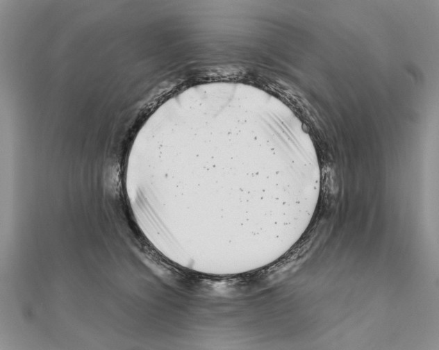 X0000110870564200907301415