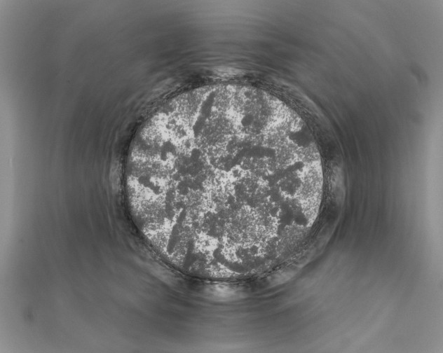 X0000110870565200907301415