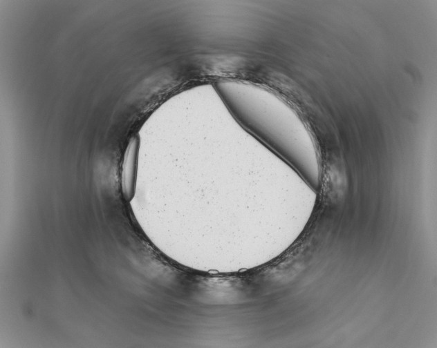 X0000110870566200907301415