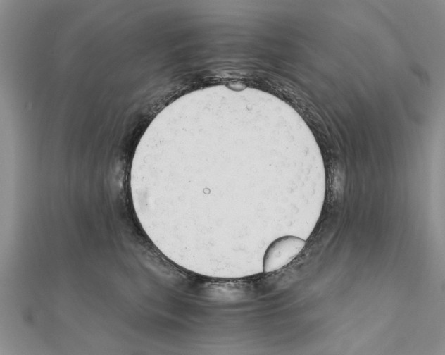 X0000110870567200907301415