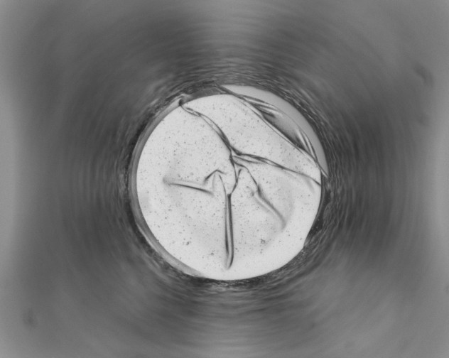 X0000110870568200907301415