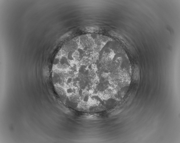 X0000110870569200907301415