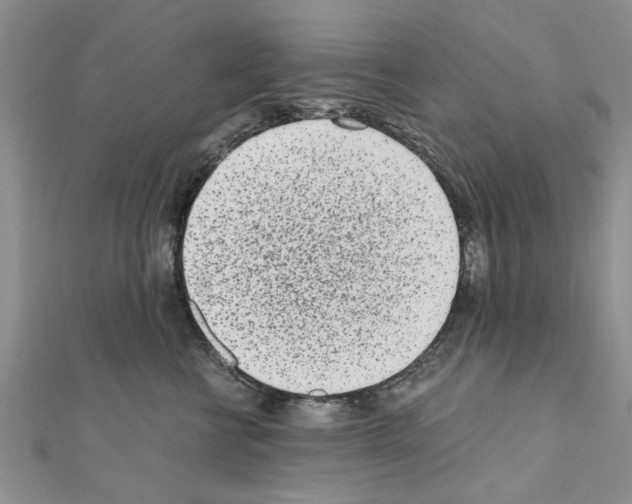 X0000110870570200907301415