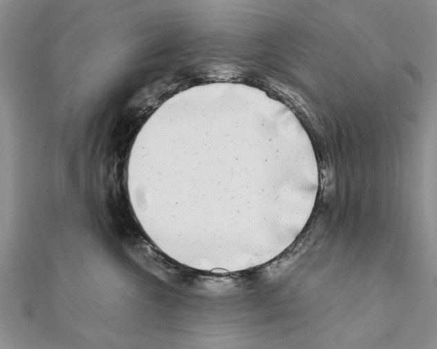 X0000110870572200907301416