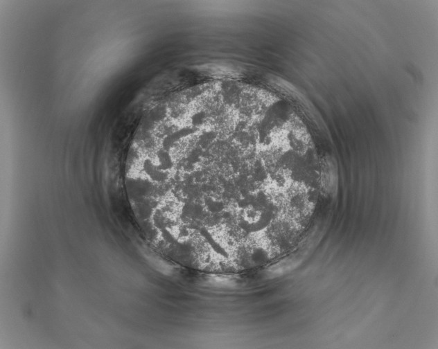 X0000110870573200907301416