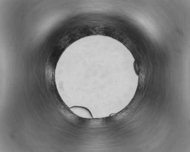 X0000110870574200907301416