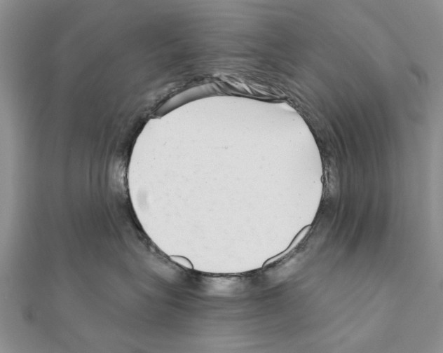 X0000110870575200907301416