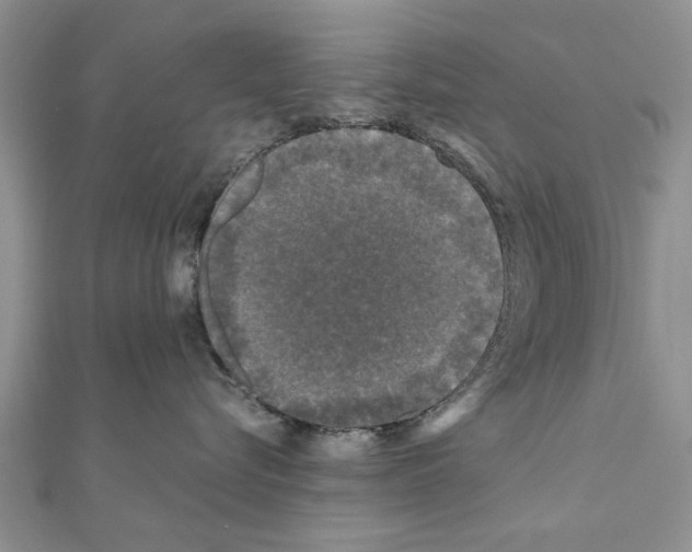 X0000110870576200907301416