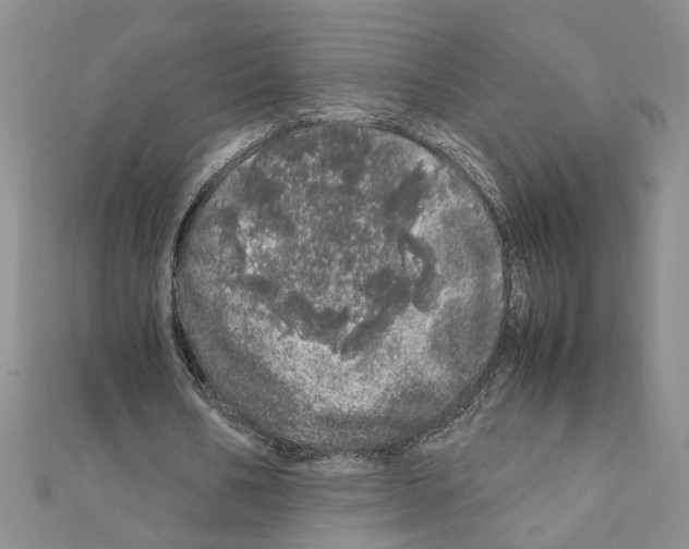 X0000110870578200907301415