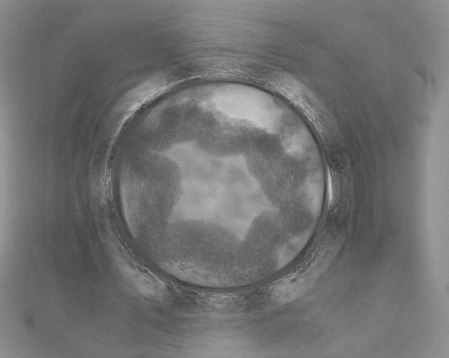 X0000110870579200907301415