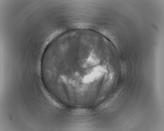 X0000110870581200907301415