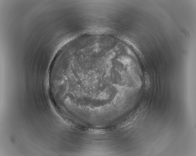 X0000110870582200907301415