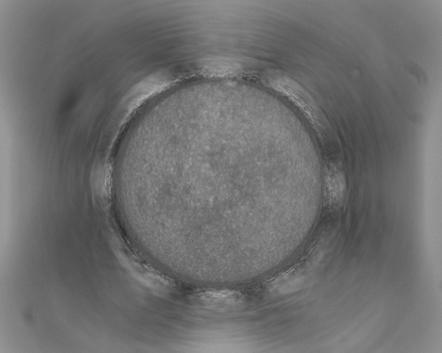 X0000110870583200907301415