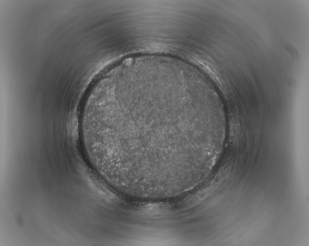 X0000110870584200907301415