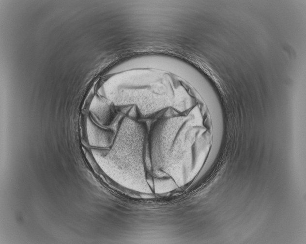 X0000110870585200907301415