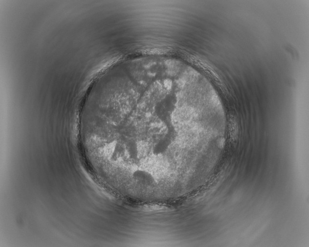 X0000110870586200907301415