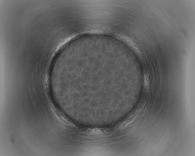 X0000110870588200907301415