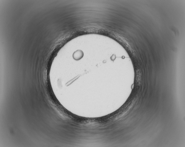 X0000110870589200907301415