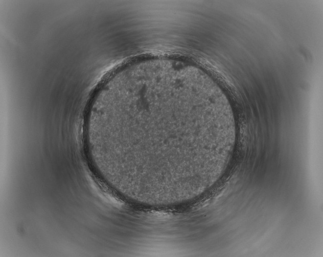 X0000110870592200907301415