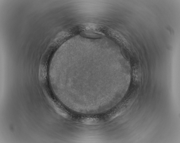 X0000110870593200907301415