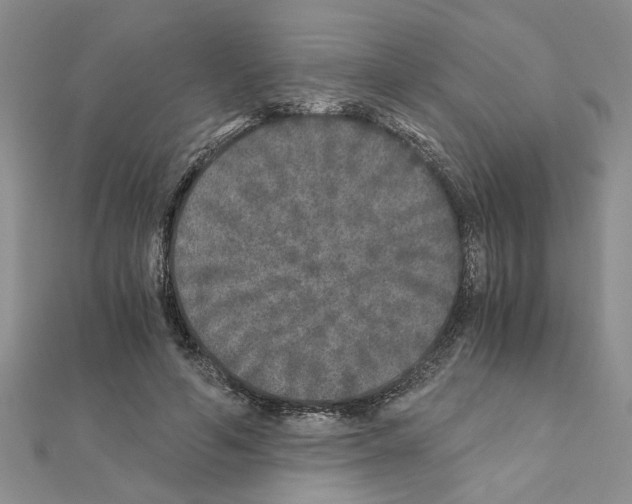 X0000110870594200907301415