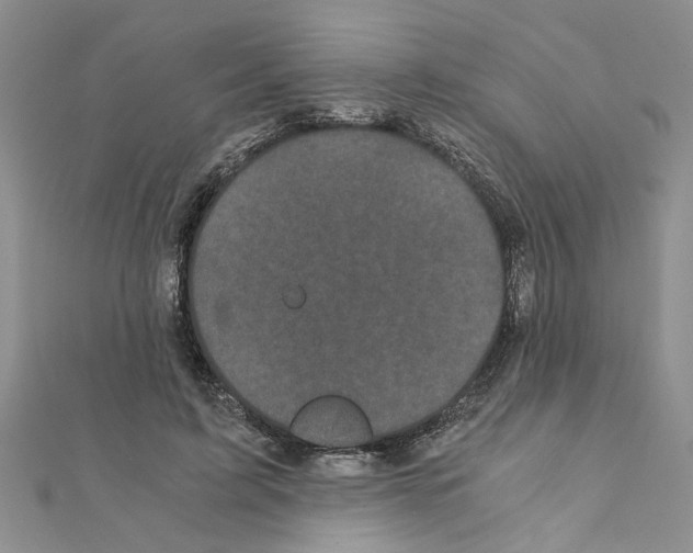 X0000110870595200907301415