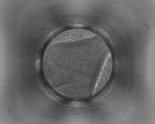 X0000110870596200907301415