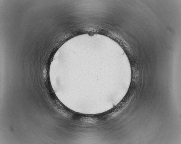 X0000110870597200907301415