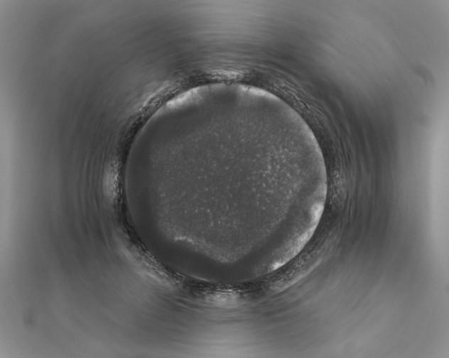 X0000110870600200907301415