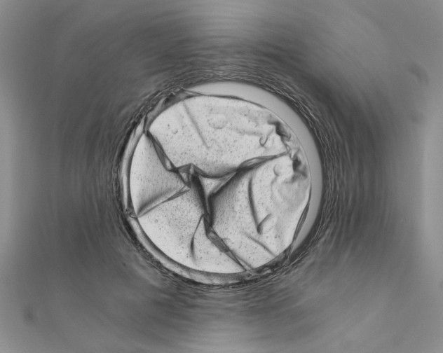 X0000110870601200907301415