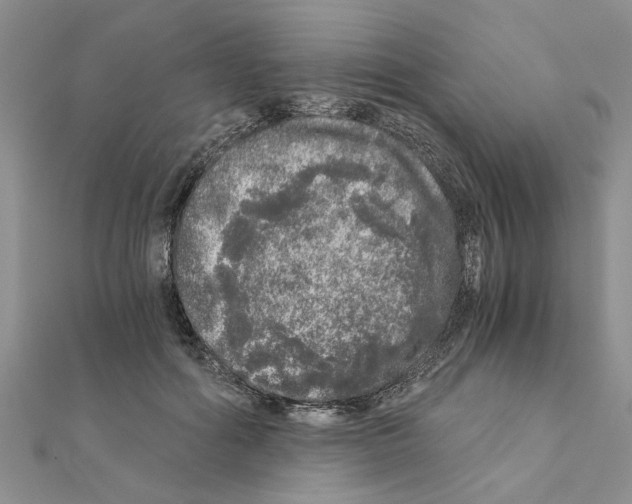 X0000110870602200907301415