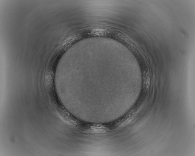 X0000110870603200907301415