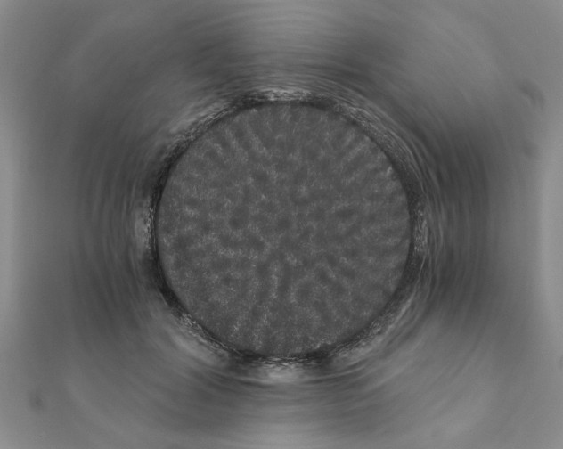 X0000110870604200907301415