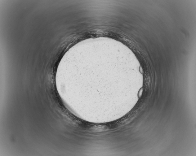 X0000110870609200907301415