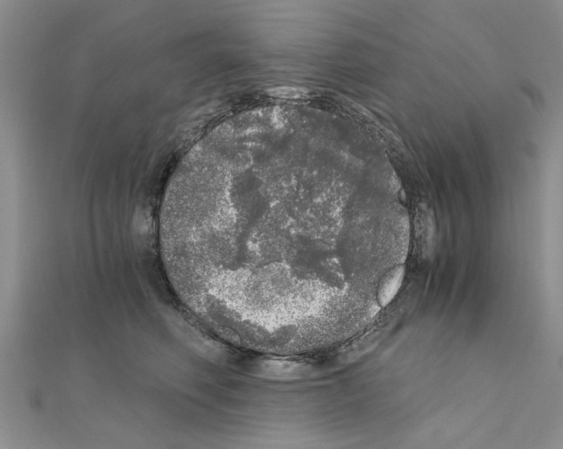 X0000110870614200907301414