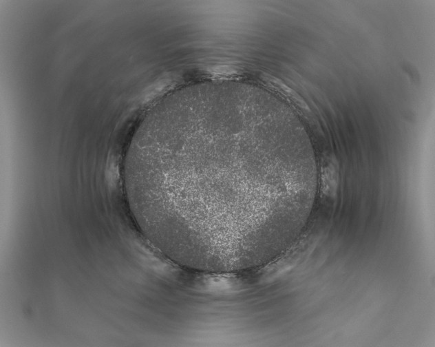 X0000110870618200907301414