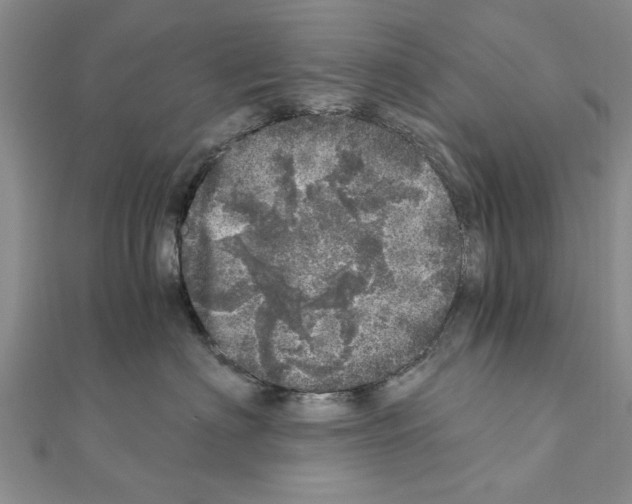 X0000110870622200907301414