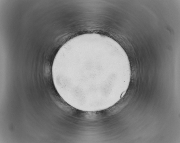 X0000110870623200907301414