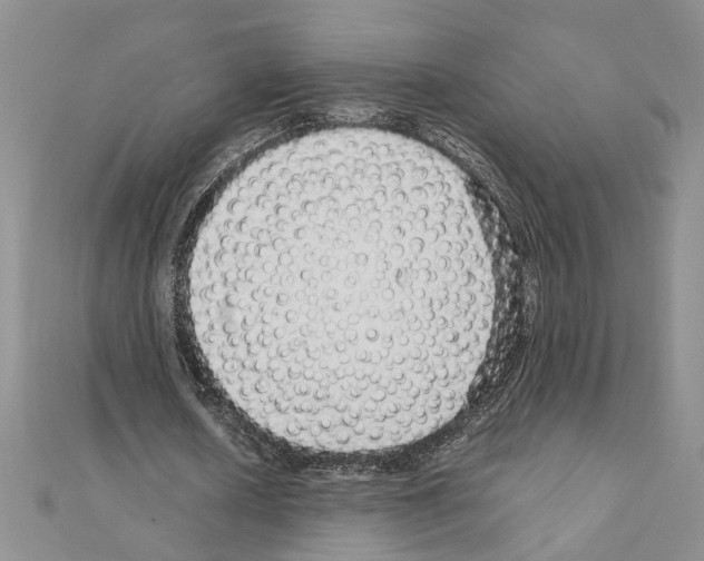 X0000110870626200907301414