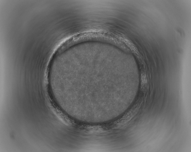 X0000110870628200907301414