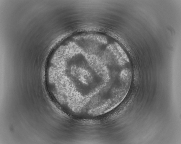 X0000110870629200907301414