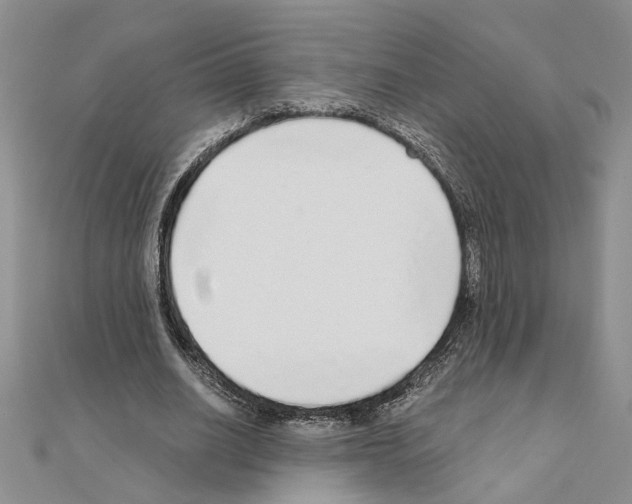 X0000110870630200907301414