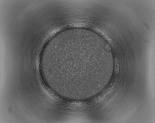 X0000110870631200907301414